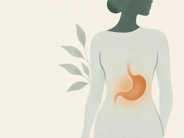 Illustration: A torso outline with the stomach softly drawn, a warm clay glow