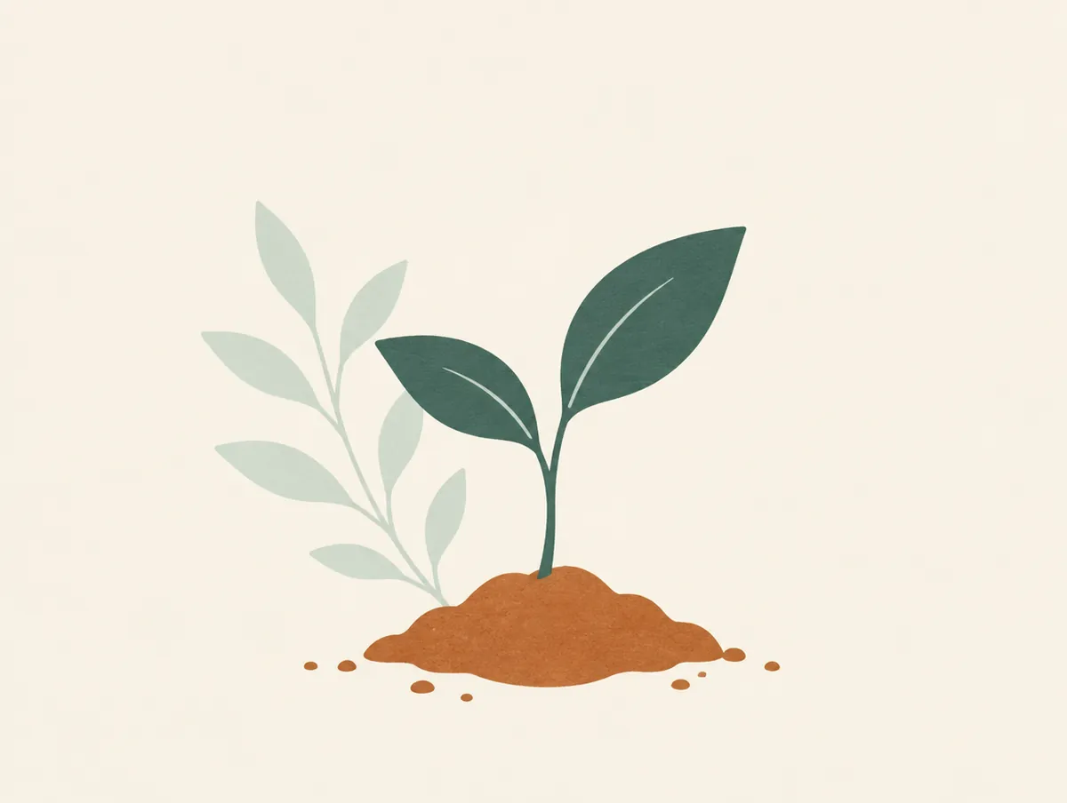 Illustration: A seedling with two leaves growing from soil