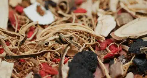 Chinese Herbs 6 Chinese Herbs 5